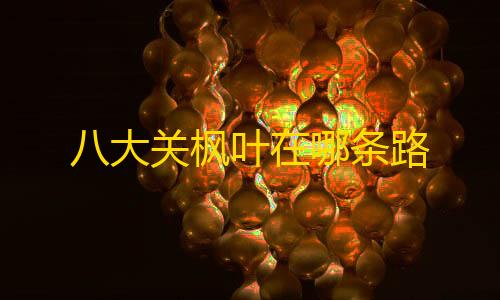 暗区突围无限科恩币破解版八大关枫叶在哪条路